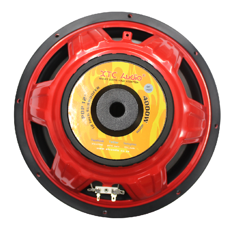 XTC Pop Grey 12" 4000W SVC