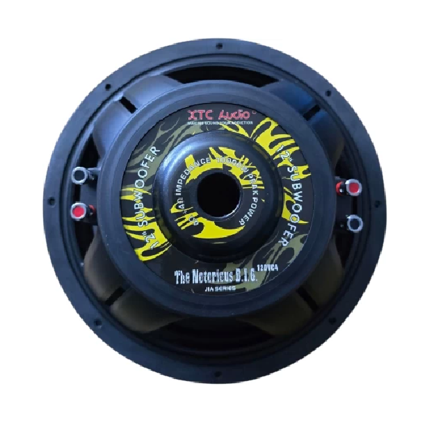 XTC The Notorious B.I.G 12" 10-000W DVC