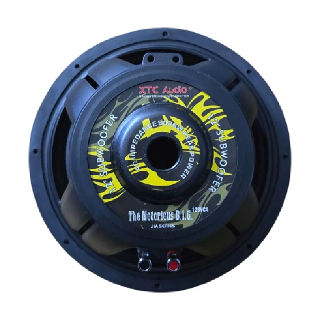 XTC The Notorious B.I.G.s 12" 9000W SVC